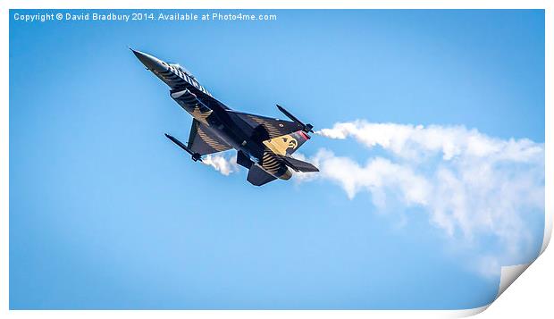 Lockheed Martin F-16C Fighting Falcon of the Turki Print by David Bradbury