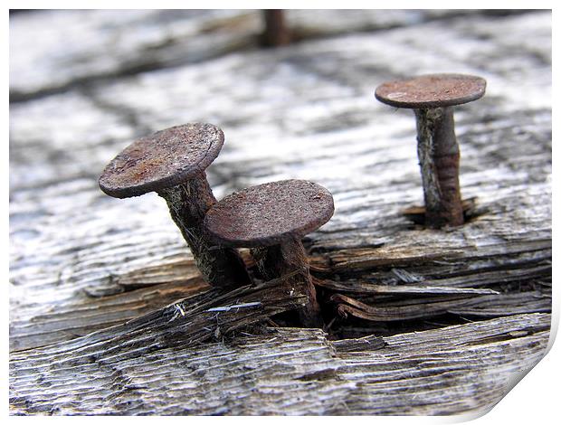  Steel Mushrooms Print by Brian Ewing
