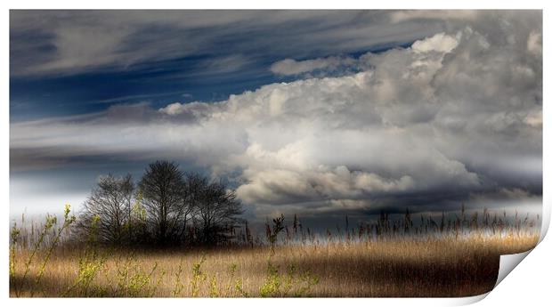 Low storm clouds  Print by paul holt