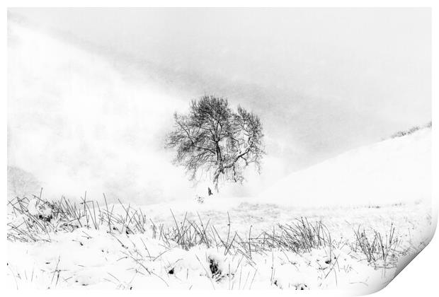Wintering Print by Garry Quinn