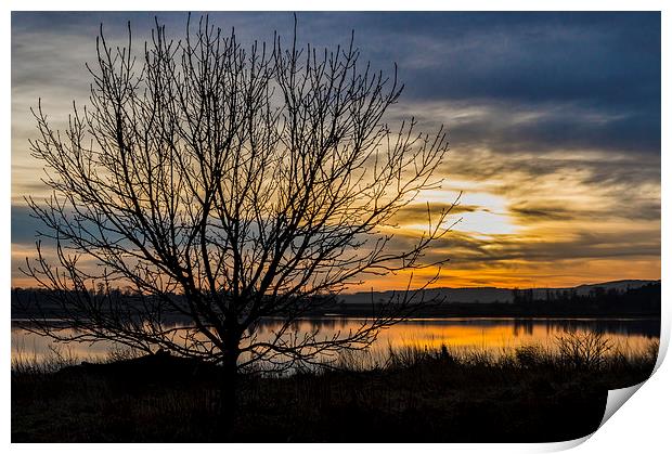 Distant Gold Print by Garry Quinn