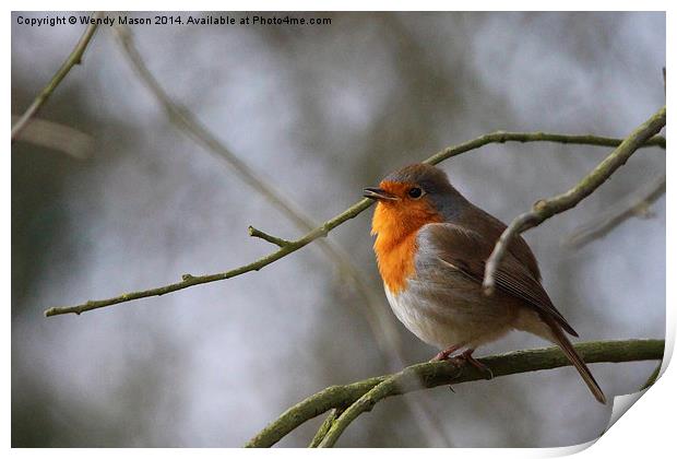  Robin Print by Wendy Mason