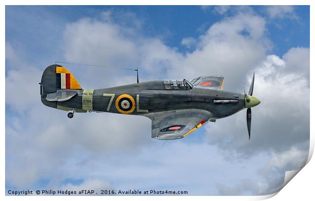 Hawker Sea Hurricane Mk1b Print by Philip Hodges aFIAP ,