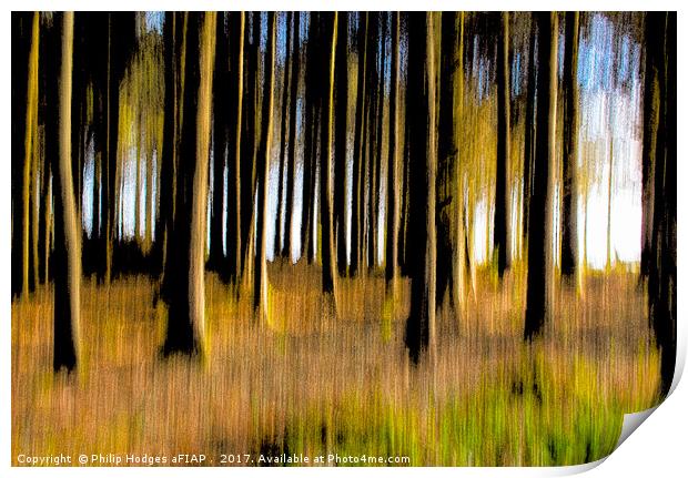 Forest of Dreams Print by Philip Hodges aFIAP ,