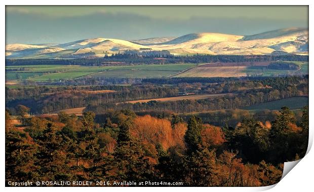 "EVENING LIGHT ON THE SNOW TOPPED CHEVIOTS" Print by ROS RIDLEY