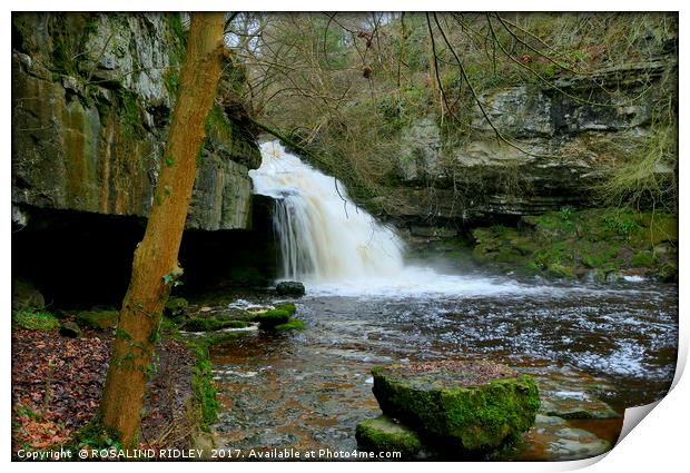 "After the rains ..the waterfall at West Burton ,  Print by ROS RIDLEY