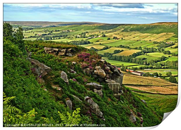 "North York Moors overlooking Danby Dale" Print by ROS RIDLEY