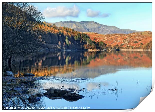 "Autumn reflections at the lake" Print by ROS RIDLEY