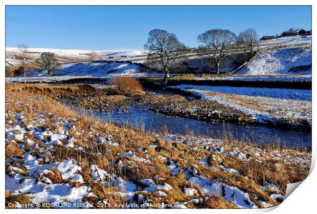 "Sunshine and snow 2 " Print by ROS RIDLEY