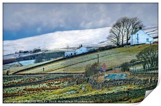 "A drive through Teesdale" Print by ROS RIDLEY