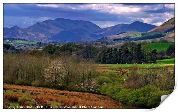 "Colours of Cumbria 2" Print by ROS RIDLEY