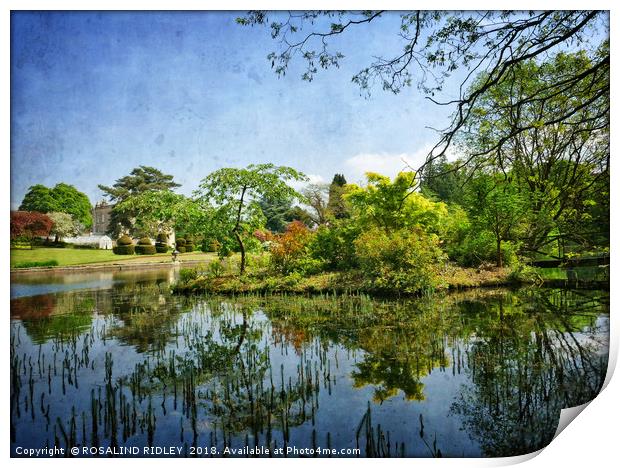 "Blue sky reflections at Thorp Perrow" Print by ROS RIDLEY