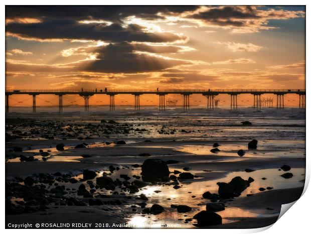 "Silver and Gold Saltburn" Print by ROS RIDLEY