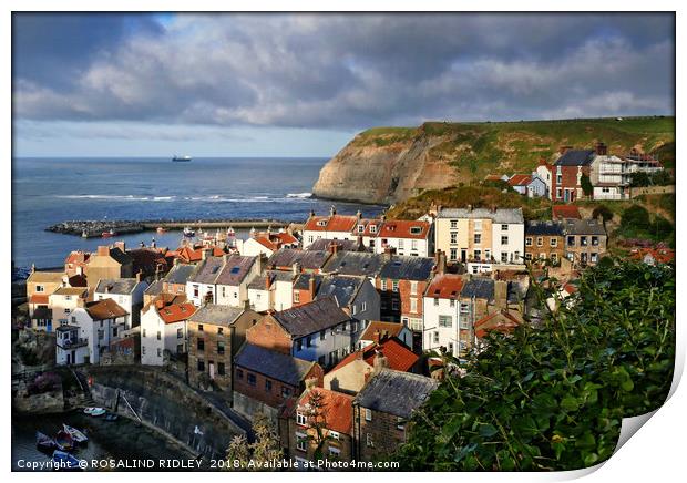 Evening Light at Staithes Print by ROS RIDLEY