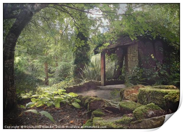 "Little Arbour in the woods" Print by ROS RIDLEY
