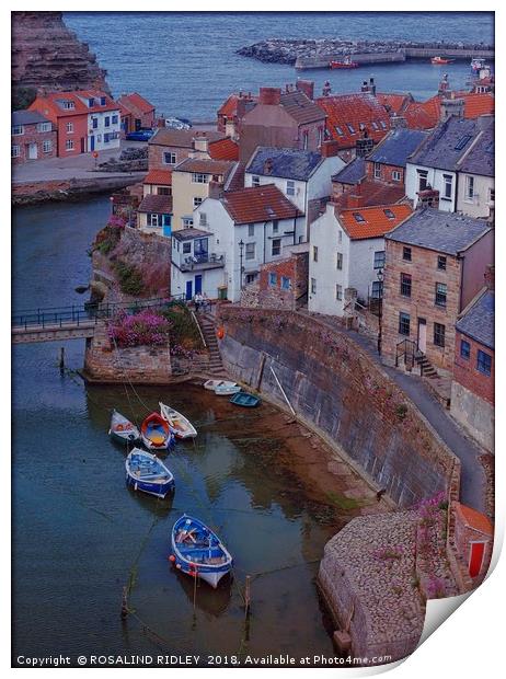 "Evening Light on Staithes Harbour" Print by ROS RIDLEY