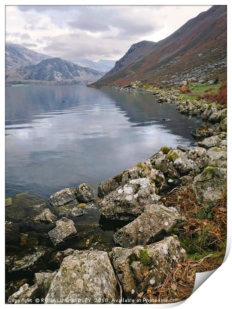 "Morning at Ennerdale Water" Print by ROS RIDLEY