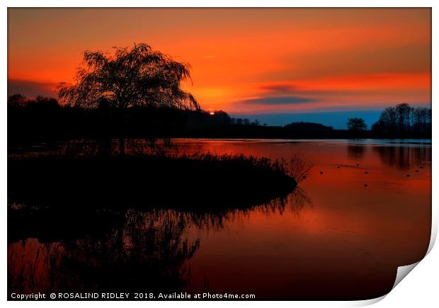 "Fiery sunset at the lake" Print by ROS RIDLEY