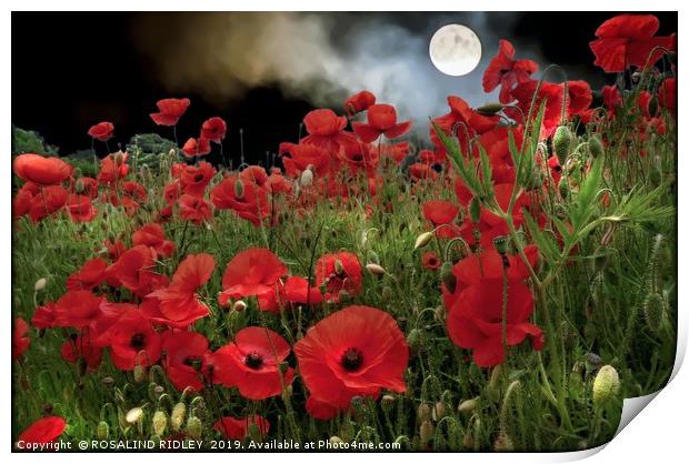 "Moonlit  Poppies" Print by ROS RIDLEY