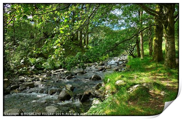 "Dappled sunshine at the stream 2" Print by ROS RIDLEY