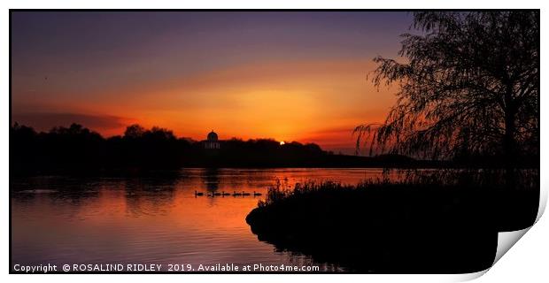 "Sundown across the park lake" Print by ROS RIDLEY