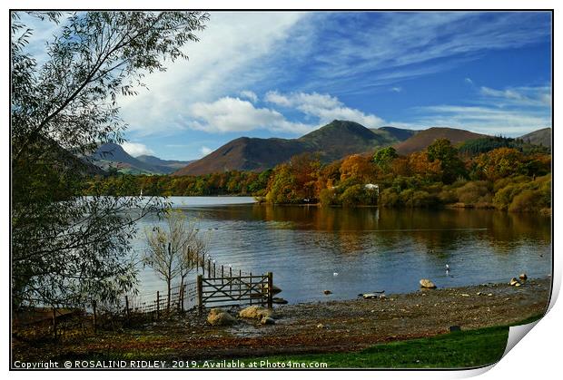 "Autumn morning across Derwentwater" Print by ROS RIDLEY