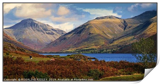 "Mountains at Wastwater" Print by ROS RIDLEY