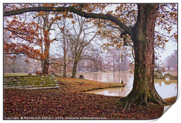 "Misty day by an Autumn lake " Print by ROS RIDLEY