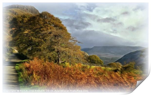 "Sunshine and mist over Wasdale" Print by ROS RIDLEY