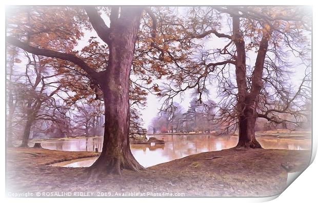 "Trees by a misty Autumn lake " Print by ROS RIDLEY