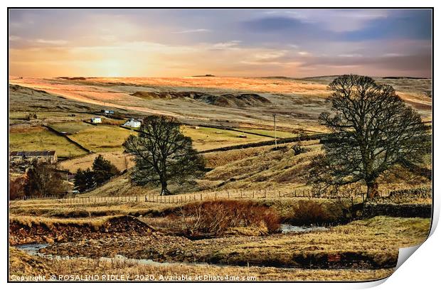 "Evening across Weardale" Print by ROS RIDLEY