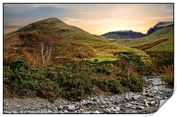 "Autumn foliage at the Scafell range" Print by ROS RIDLEY