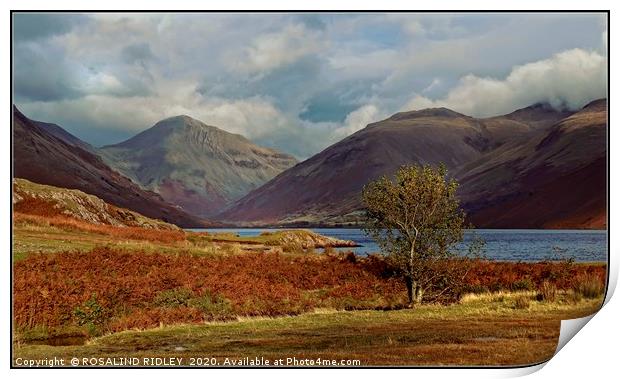 "Autumn evening Wastwater" Print by ROS RIDLEY