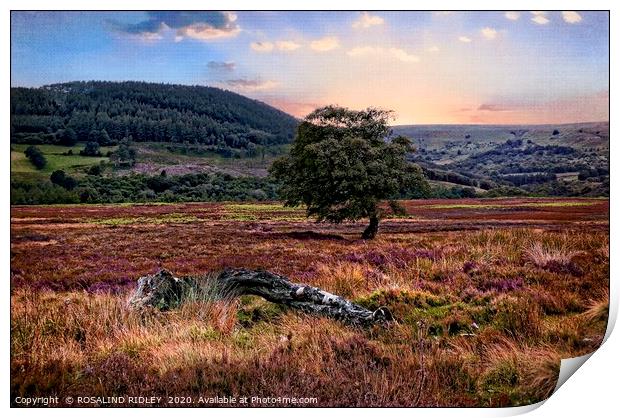 "Painterly North York Moors" Print by ROS RIDLEY