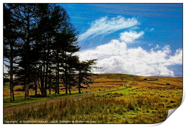 "Breezy day at the moors" Print by ROS RIDLEY