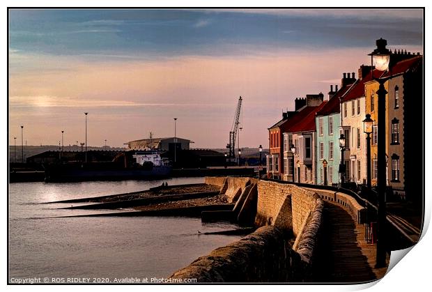 The Houses of Hartlepool Headland Print by ROS RIDLEY