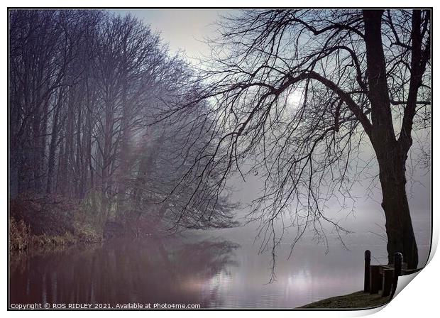 "Mists at Garden River" Print by ROS RIDLEY