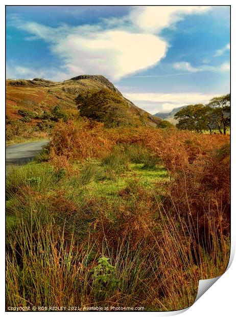 Autumn road through  Wasdale Valley Print by ROS RIDLEY