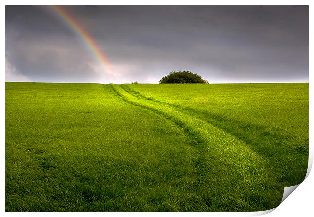  A track in a field leading to a rainbow Print by Mal Bray