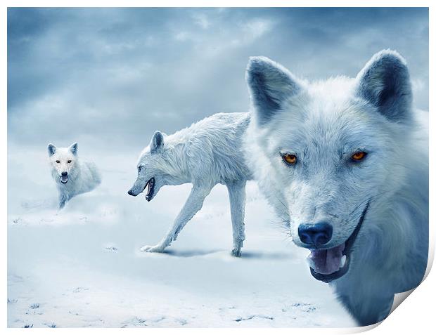  Arctic Wolves Print by Mal Bray