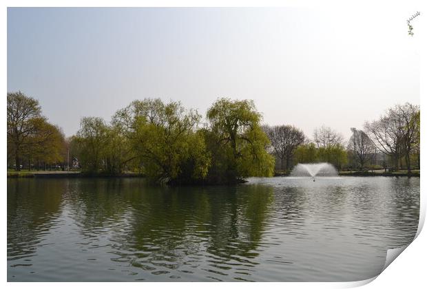  Chelmsford Central Park Print by John Bridge