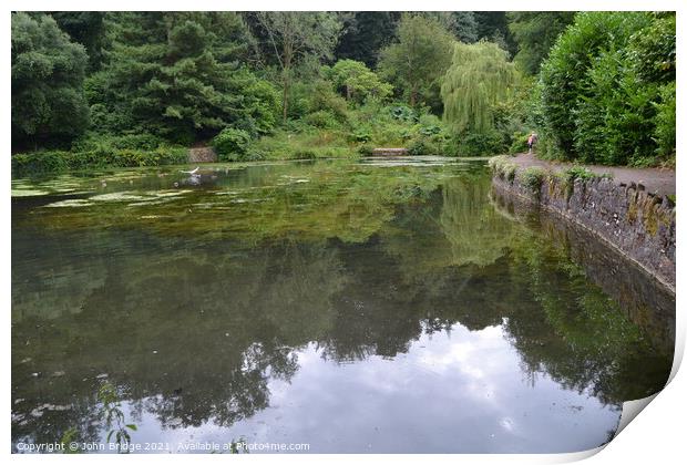 Cockington Lake Print by John Bridge