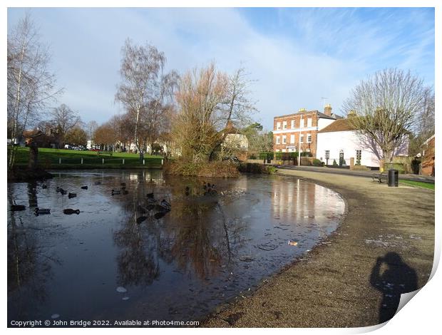 Winter on the Duck  Pond at Writtle Print by John Bridge