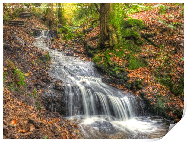 Autumnal waterfall in woodland. Print by Andrew Heaps
