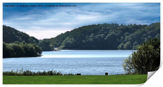 Tittesworth reservoir from the river Churnet.     Print by Andrew Heaps