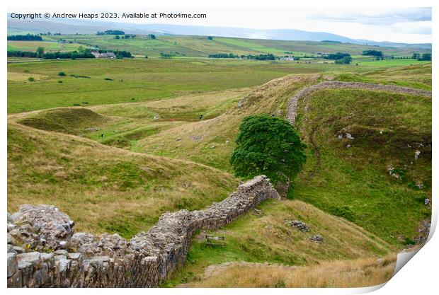 Sycamore Gap (Hadrians wall) Print by Andrew Heaps