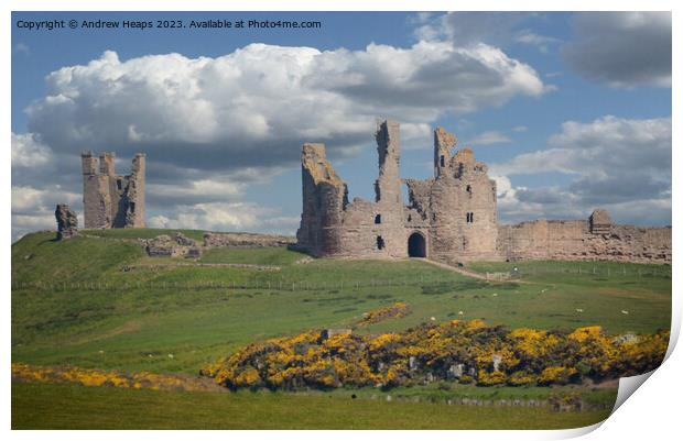 Dunstanburgh Castle ruins in summer sunshine. Print by Andrew Heaps