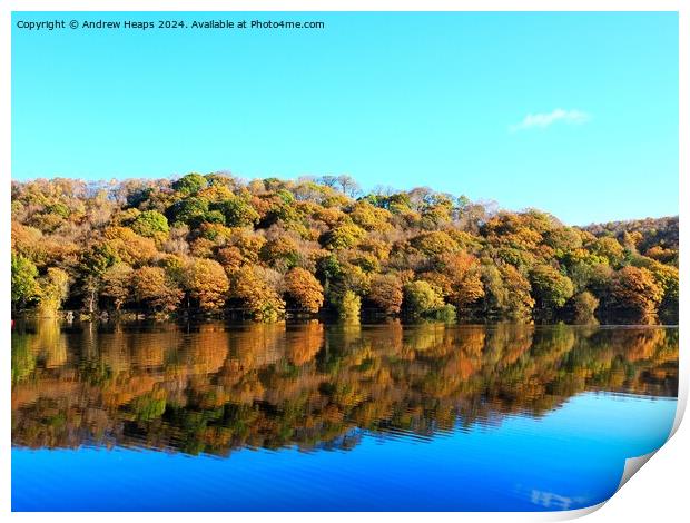 Autumnal colours by Tittersworth reservoir Print by Andrew Heaps