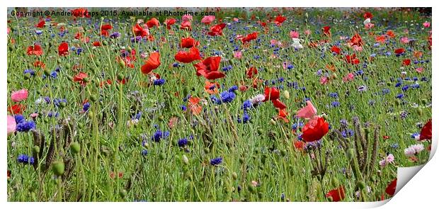 Wildflowers Dancing in Trenthams Meadow Print by Andrew Heaps