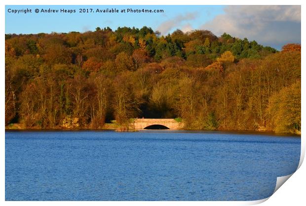 Autumn view of reservoir  lake in Staffordshire Print by Andrew Heaps